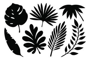 Tropical leaf silhouettes set isolated flat illustration on white background vector
