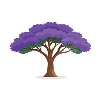 Jacaranda tree isolated flat illustration on white background. vector