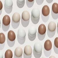 Above view Brown beige Eggs with shadows on light background, minimal trend food pattern from assorted natural Chicken egg with neutral color eggshells, Easter food celebration concept, monochrome photo