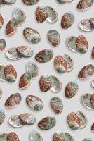 Minimal style marine pattern shiny abalone shells, aesthetic top view background with natural textured oceanic seashells, vivid color abstract summer flat lay, sea and ocean beauty and nature photo
