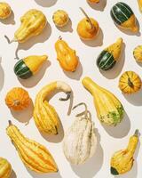 Assorted Mini Pumpkins as natural background, colorful selection of mini pumpkins and gourds, fall season still life pfoto, autumn aesthetic minimal top view, autumnal vegetables textured image photo