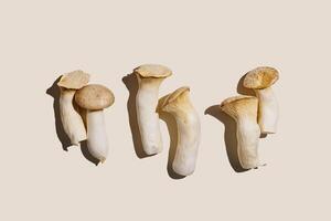 Pleurotus eryngii white mushrooms at sunlight, edible fungus as minimal pattern on beige background, top view monochrome still life flat lay from whole mushroom, health eating, vegan food photo