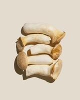 Pleurotus eryngii white mushrooms with shadows, edible fungus as minimal flat lay on beige background, top view pastel colored still life from whole mushroom at hard light, alternative proteins photo