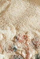 Colored Shells summer pattern on sandy beach, aesthetic nature still life, organic shapes, beauty nature background. Close up seashells at Soft lighting, warm tones create natural, beachy mood photo