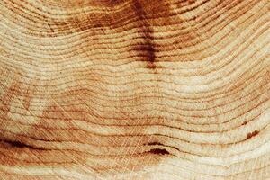 Wooden annual rings texture natural background, waves shape of timber tree as minimal nature pattern. Cross-section of juniper. Wood aesthetic texture fon, environmental design, plain nature fon photo