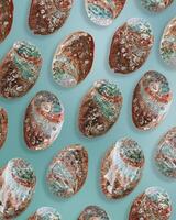 Repeated pattern of abalone seashells on turquoise background. Natural Shells with of earthy brown, green, iridescent blue, organic textures and pearlescent shimmer Top view summer Aesthetic view photo