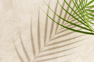 Summer minimal style background with shadow from natural palm leaf on light beige concrete background, hard light, copy space. Pastel colored aesthetic photo with palm shadows at sunlight.