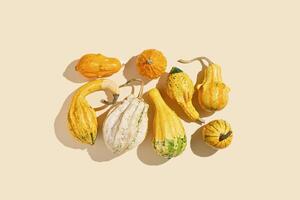 Colored Pumpkins square pattern, decorative different pumpkin, squash, patisson as top view minimal pattern. Autumn, fall, halloween holiday concept. Autumnal flat lay with sunlight shadows. photo