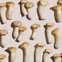 Pleurotus eryngii white mushrooms at sunlight, edible fungus as minimal trend pattern on beige background, top view monochrome still life flat lay from mushroom, health eating, vegan food photo