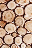 Natural background with Wooden tree trunk slices, close up woods with texture annual rings. Top view of cross section of juniper log, nature organic pattern. Sawed timber with tree rings photo