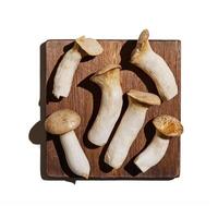 Pleurotus eryngii white mushrooms at sunlight on wood board, edible fungus as minimal trend background, top view monochrome still life flat lay from raw mushroom, health eating, vegan food photo