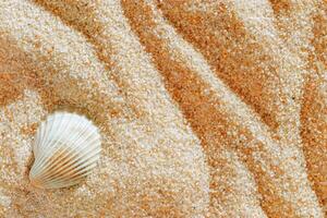 Aesthetic minimal summer background, white seashell on coral colored sand, copy space, beige neutral tones monochrome background. Top view sandy ripples textured pattern, meditation, relaxation theme photo