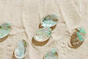 Seashells abalone on Sandy background, shell with iridescent pearlescent surface on fine sand, minimal and peaceful beach-inspired composition under soft light, beauty nature and sea holiday photo