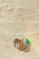 Aesthetic minimal love summer sea holiday concept, seashells as heart on fine sand with sunlight rainbow flare. Top view colorful abalone shells on sandy textured background, blue green beige color photo