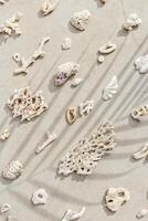 Pattern from seashells, coral on sandy background. Minimal photo at sunlight with palm leaf shadow. Summer vacation concept, beach mood. Nautical design. Top view nature aesthetics still life
