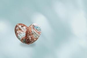 Seashell of abalone as heart, sea and ocean nature love concept, natural texture closeup shell on blue background, pearl shine surface of Haliotis mollusks, top view, earthy pastel colored, copy space photo