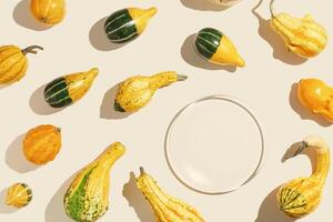 Assorted Mini Pumpkins as creative pattern, sunlight shadow, colorful selection of mini pumpkins and gourds, fall season still life, autumn aesthetic minimal style top view, empty glass plate photo