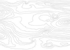 Wood grain white texture. Seamless wooden pattern. Abstract line background. Tree fiber illustration vector