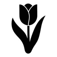 Tulip flower icon vector