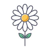 A minimalist daisy with soft vector