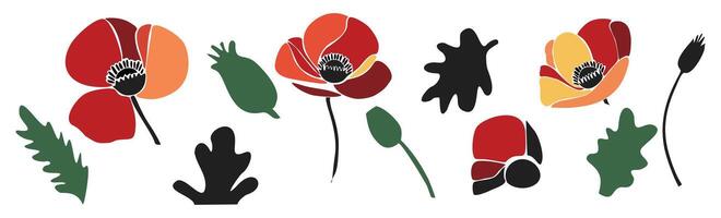 Set of colorful abstract poppy flowers and leaves vector