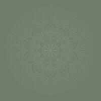 Mandala element background banner elegant vector