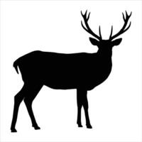 A deer on a white background vector