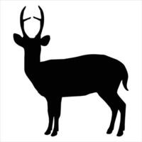 A deer silhouette on a white background vector