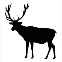 Deer black silhouette .can use for design vector