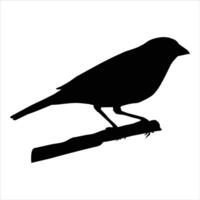 standing black bird icon is isolated on a white background vector