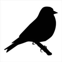 bird silhouette standing on a branch vector