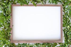 wooden frame with empty space and light green leaves background. photo