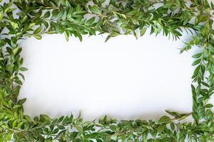 frame of fresh natural plants on white wooden background photo