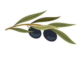 Elegant olive branch drawing on white background. Hand drawn olive branch. For creating logos, invitations, packaging. vector