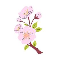 Cherry blossom branch. Hanami. Sakura flowers. Botanical element. Blooming spring tree in flat style on white background. vector