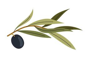 Simple and elegant olive branch drawing, isolated on white background. Hand-drawn olive branch. For designs food, creating logos, invitations, packaging. vector