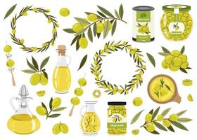 Set of green olives, branches and oil bottles, tinned snack. Olive berries and tree branches with leaves and wreaths on white background. vector