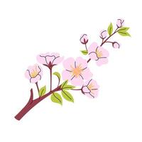 Hanami. Sakura flowers. Cherry blossom branch. Botanical element. Blooming spring tree in flat style on white background. vector