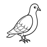 dove of peace vector