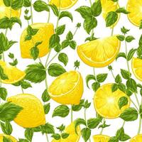 Lemon fruits, mint leaves seamless pattern. Fabric print, wallpaper design, elegant texture on white background. Packaging design. Citrus fresh ornament for bar, textile, wrapping vector