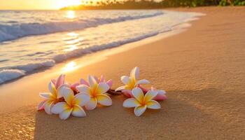 Flowers Resting on Sandy Beach at Sunset With Gentle Waves Lapping on the Shore photo