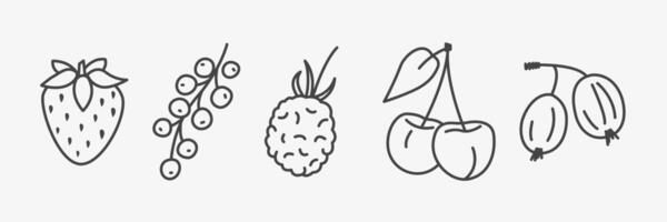 Set of berry line icons. Cherry, raspberry, blackberry, strawberry and gooseberries collection. Editable strock on white background. illustration vector