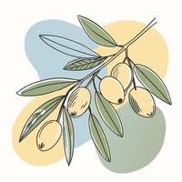 Abstract Olive Branch with Soft Color Background vector