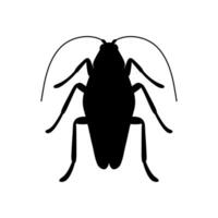cockroach icon on white background vector