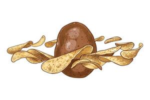 Hand drawn side view potato and chips. Floating chips around a potato with outline, fill, details in separate groups.This asset is ready to use and easy to edit. vector