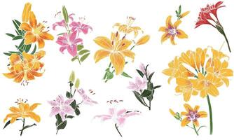Colorful hand drawn tiger lilies. Summer flowers drawn with fills only, no stroke or outlines, in blood orange and fresh green. Easy to edit, assets in different groups. vector