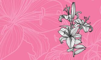 Hand drawn outline of tiger lily flowers with petals and leaves. Elegant black outline of a summer flower on a pink background. Easy to edit and ready to be used vector