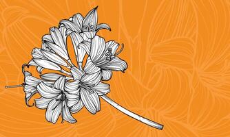 Hand drawn outline of tiger lily flowers with petals and leaves. Elegant black outline of a summer flower. These assets are outline only. Easy to edit and ready to be used vector