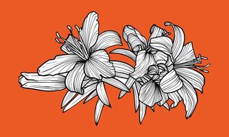 Hand drawn outline of tiger lily flowers with petals and leaves. Elegant black outline of a summer flower on a blood orange background.These assets are outline only. Easy to edit and ready to be used vector