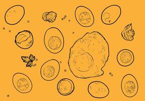 hand drawn outline only eggs. Fried, boiled, whole, yolk, albus, albumen. Awesome food assets for menu design, online and print projects. vector